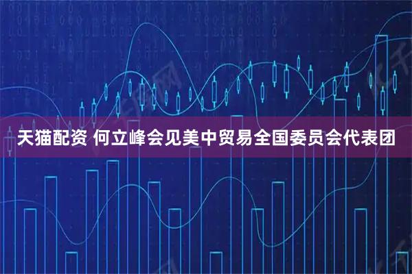 天猫配资 何立峰会见美中贸易全国委员会代表团