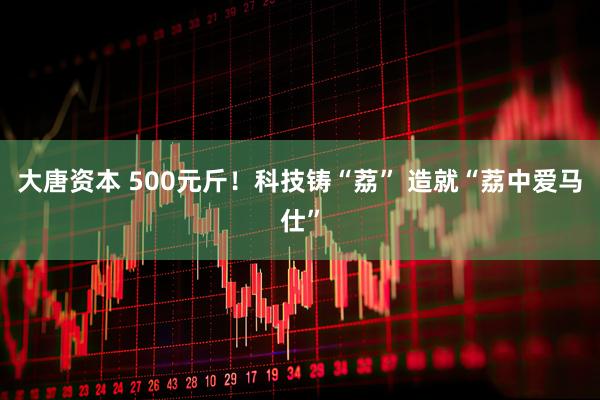 大唐资本 500元斤！科技铸“荔” 造就“荔中爱马仕”