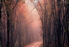 北京炒股配资开户:配资114平台-高盛上调寒武纪12个月目标价至2104元